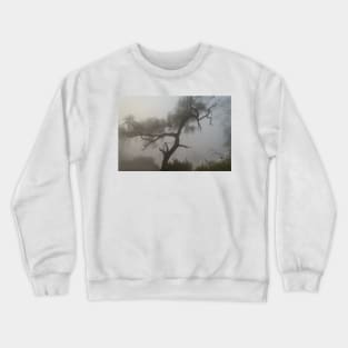 Morning Fog at Bharatpur 02 Crewneck Sweatshirt